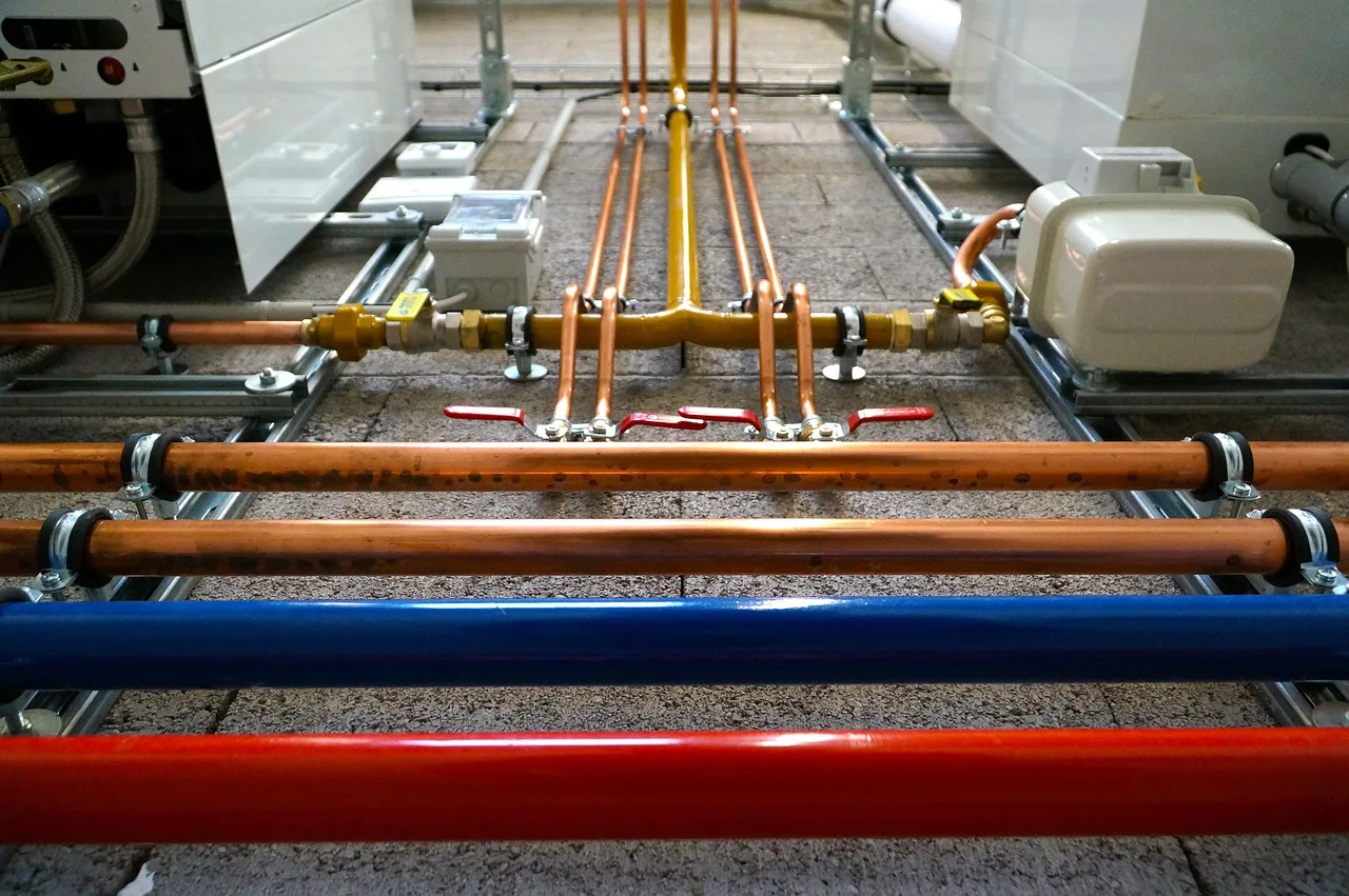proje